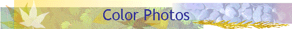 Color Photos