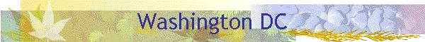 Washington DC