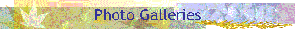 Photo Galleries