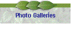 Photo Galleries