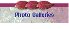 Photo Galleries