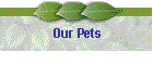 Our Pets