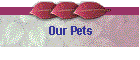 Our Pets