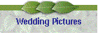 Wedding Pictures