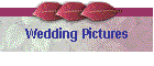 Wedding Pictures