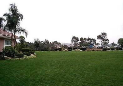 The View for Our Ceremony!